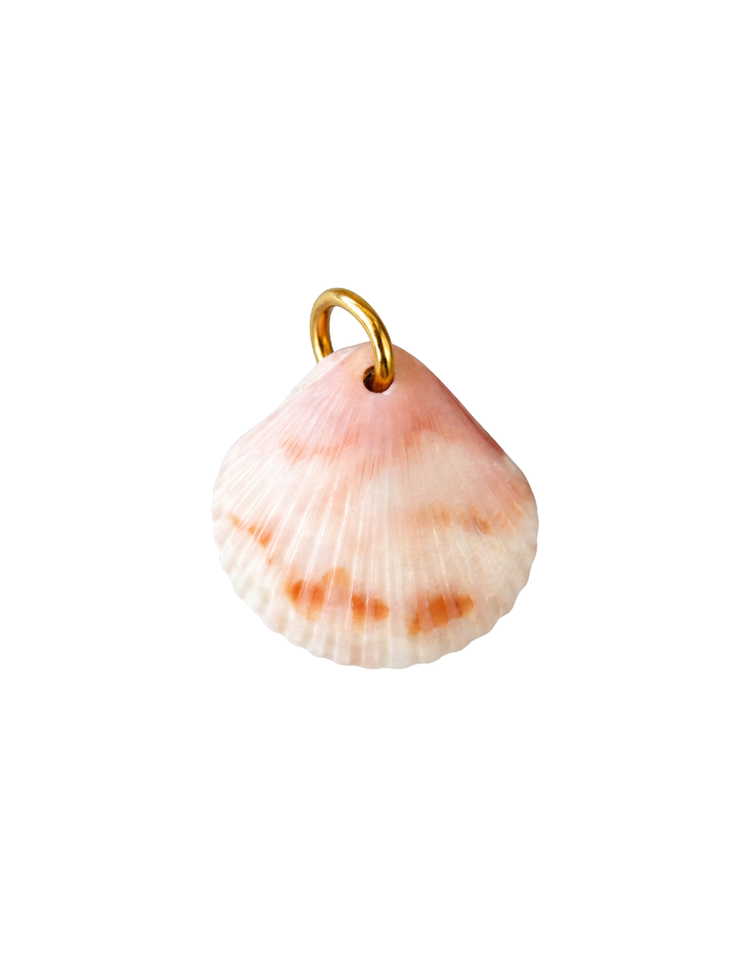 Calico Shell Charm