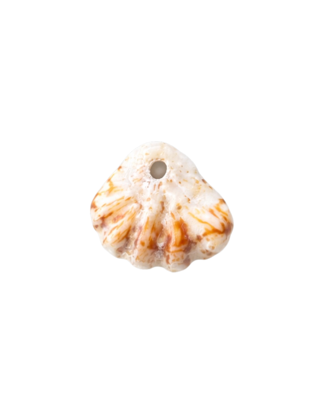Clawfoot Shell Charm