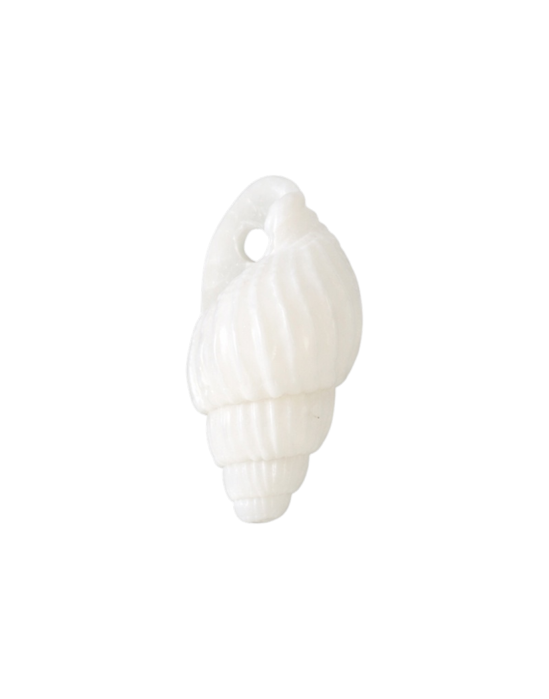 White Spiral Shell