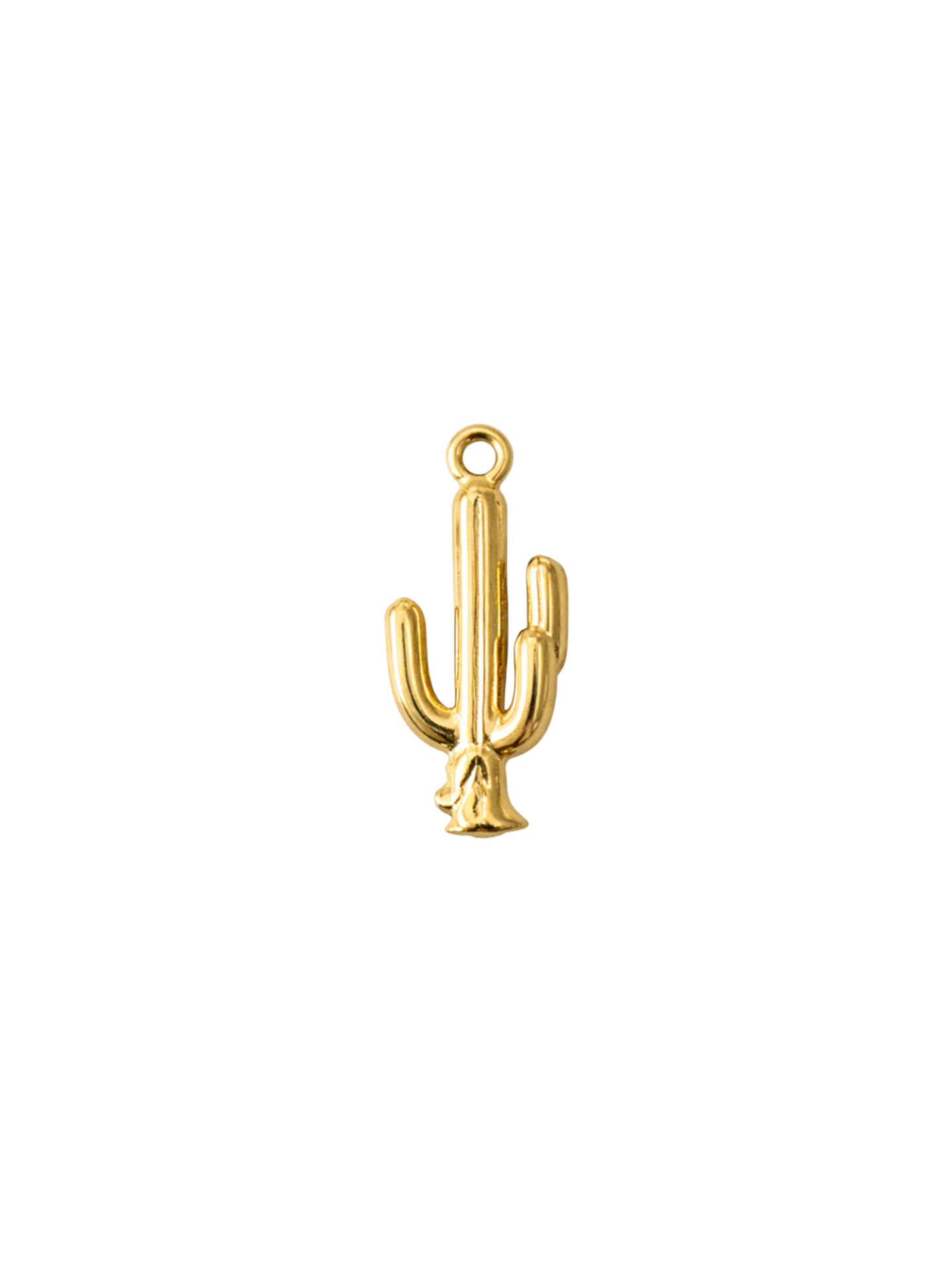 Cactus Charm