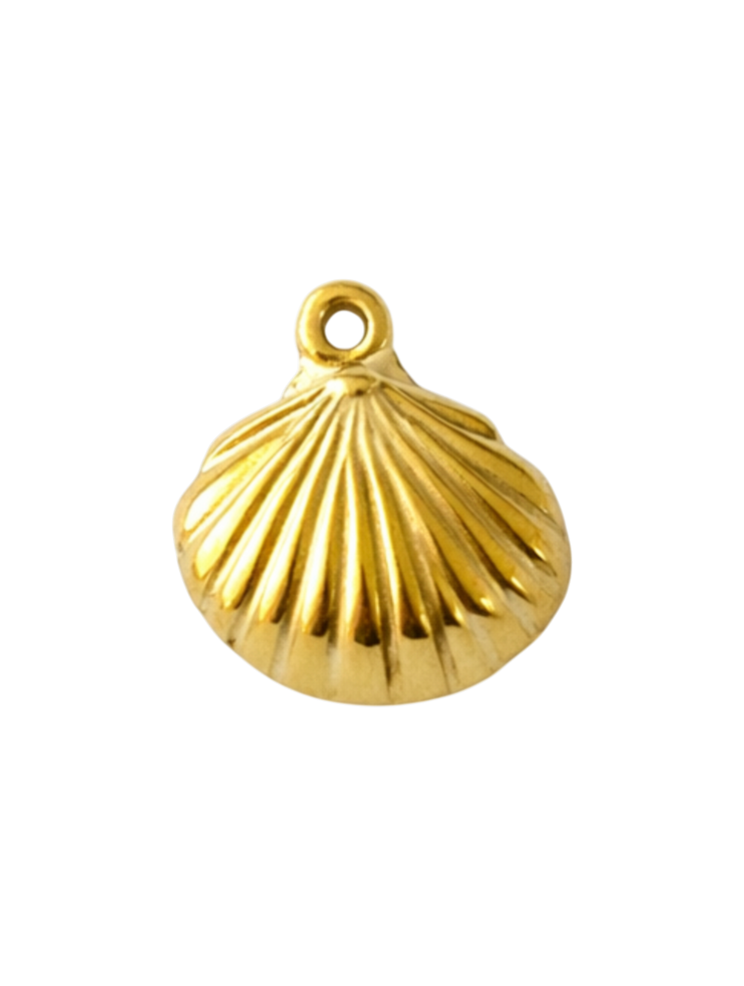 Clam Shell Charm