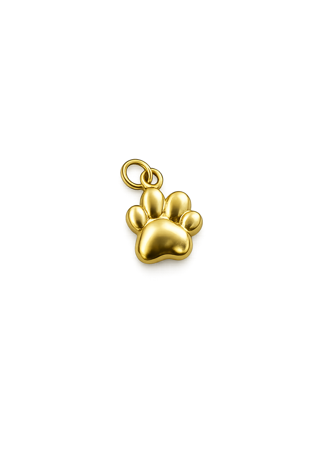 Dog Paw Charm
