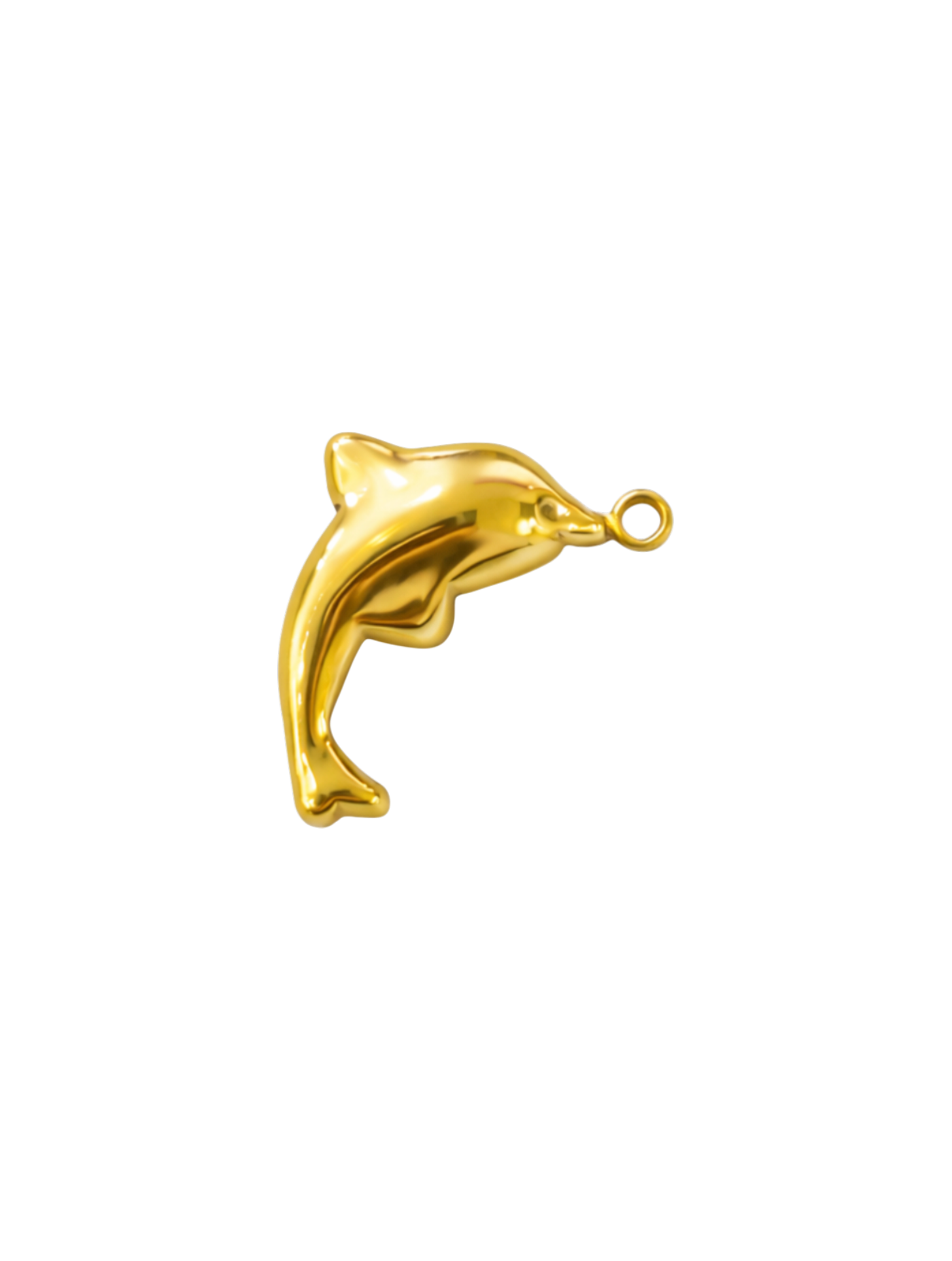 Dolphin Charm