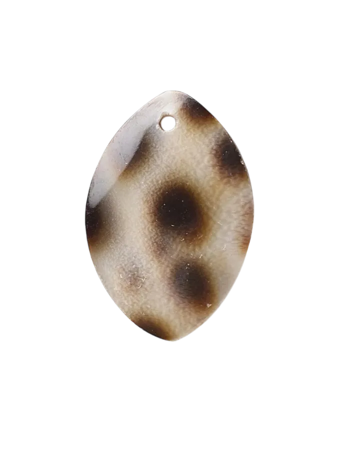 Tortoise Shell Drop Charm | SEA BONES