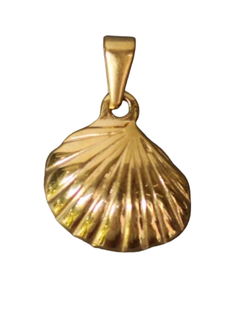 Clam Shell Charm