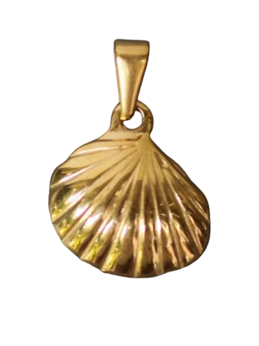 Clam Shell Charm