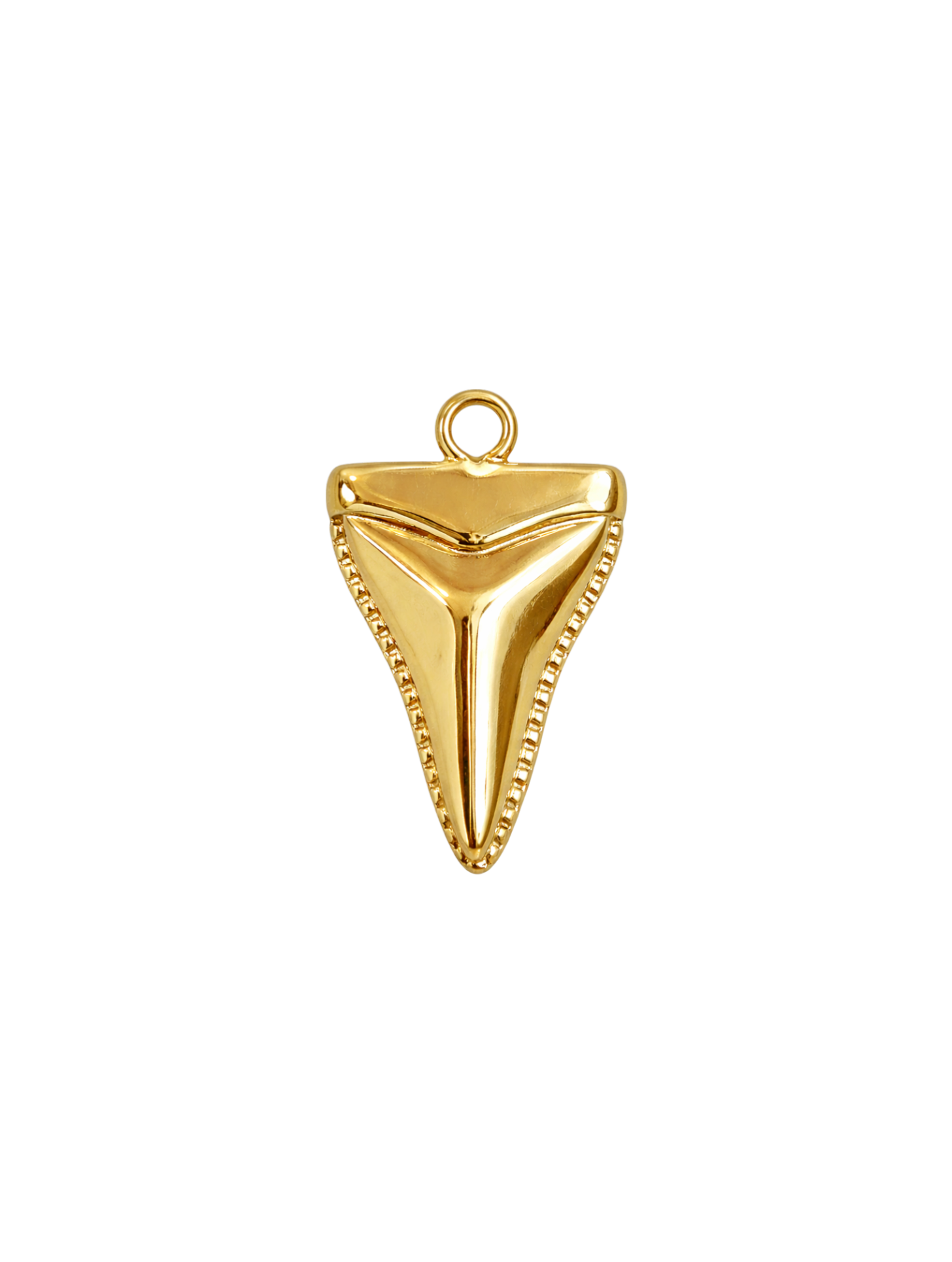Sharktooth Charm